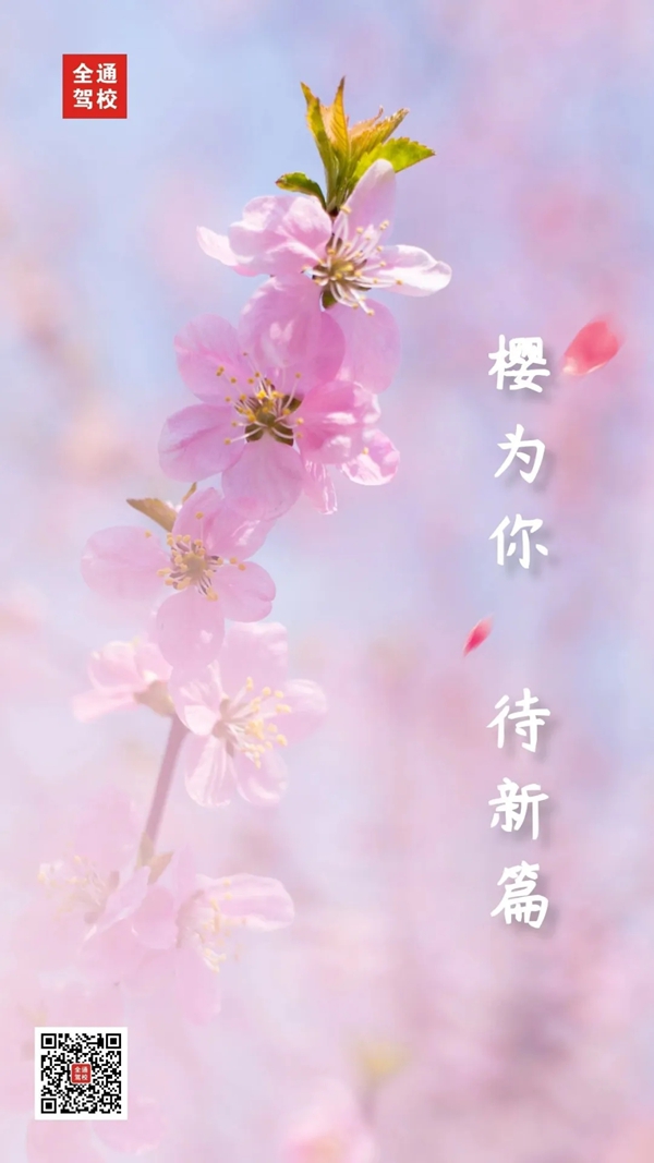 640.webp (11)